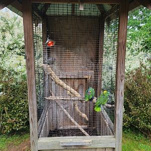 Creation Kingdom - Amazons