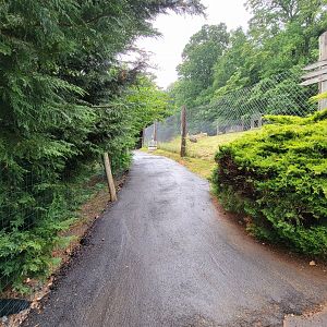 Creation Kingdom - Path