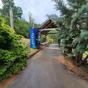 Creation Kingdom - Path