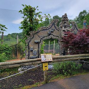 Creation Kingdom - Tiger (white)