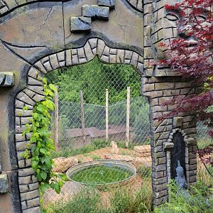 Creation Kingdom - Tiger (white)