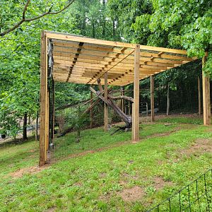 Creation Kingdom - Ring-tailed lemurs