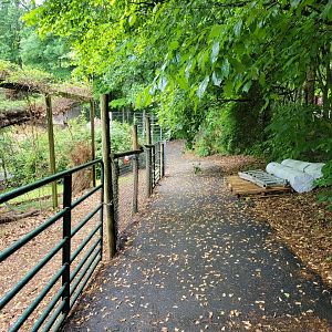 Creation Kingdom - Path