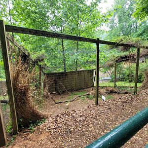 Creation Kingdom - Aviary