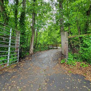 Creation Kingdom - Path