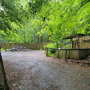 Creation Kingdom - Path