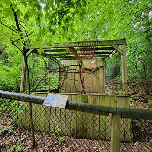 Creation Kingdom - Sacred ibis