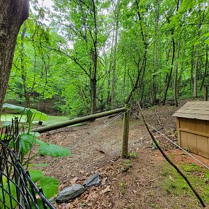 Creation Kingdom - End of capybara swamp