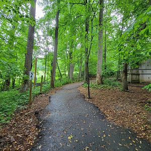 Creation Kingdom - Path