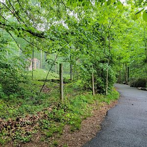 Creation Kingdom - Path, future lion exhibit on left