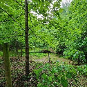 Creation Kingdom - Capybara swamp, ostrich yard to left