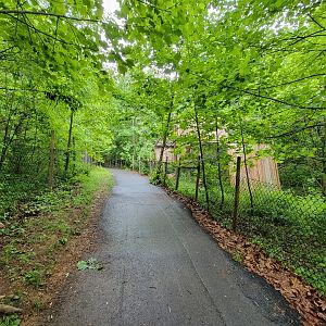 Creation Kingdom - Path, fossa up ahead on right