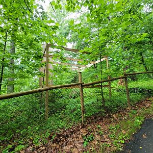 Creation Kingdom - Exhibit being built?