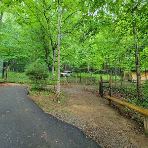 Creation Kingdom - Cheetahs