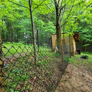 Creation Kingdom - Cheetah house