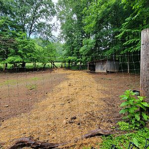 Creation Kingdom - Empty hoofstock yard