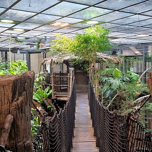 Universeum Reinforest