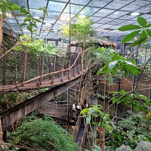 Universeum Reinforest