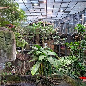 Universeum Reinforest