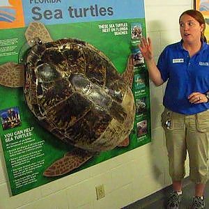 Behind The Scenes At The Florida Aquarium - YouTube