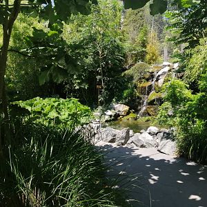 Jungle Aviary (Species list in comment)