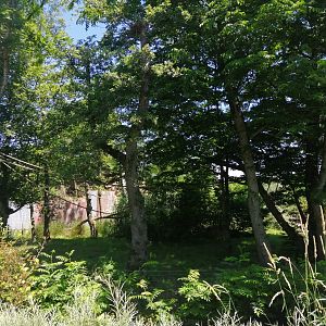 Africa - Lemur Island