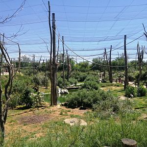 African Aviary (Species list in comment)