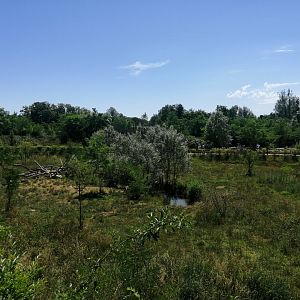 First African exhibit