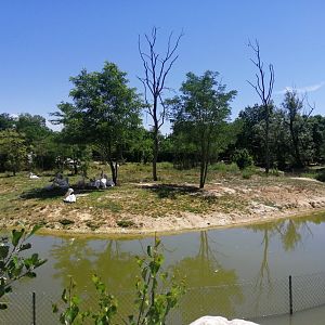 Second African exhibit
