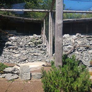 Europa - Bearded Vulture aviary