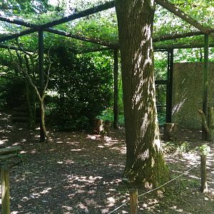 Europa - Small walkthrough aviary