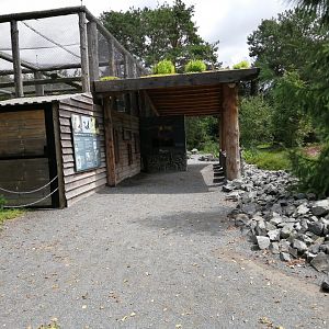 Europa - Bearded Vulture aviary