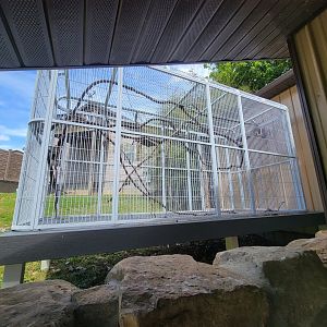 Hovatter's - Hoffman's sloth, squirrel monkeys outdoor area