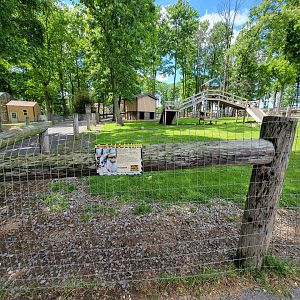 Hovatter's - Goats & tortoises