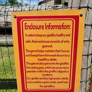 Hovatter's - Sign justifying the giraffes being kept on gravel instead of grass