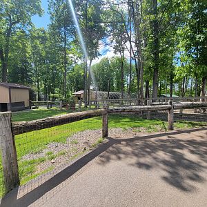 Hovatter's - Corner of goat yard