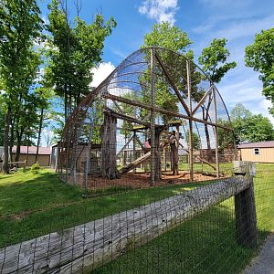 Hovatter's - Leopards