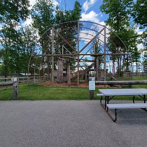 Hovatter's - Leopards