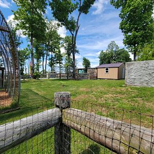 Hovatter's - View to the right of leopards