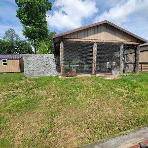 Hovatter's - Spotted hyenas