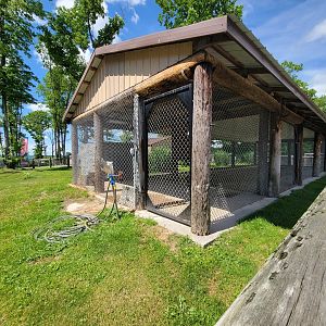 Hovatter's - Spotted hyenas