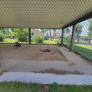 Hovatter's - Spotted hyenas