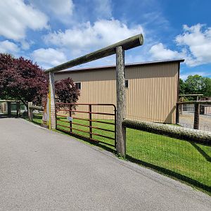 Hovatter's - Giraffe barn