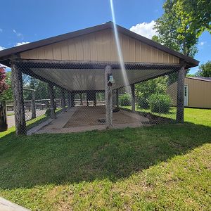 Hovatter's - Spotted hyenas