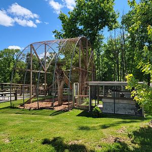 Hovatter's - Leopards