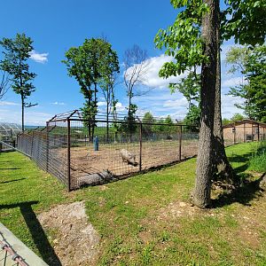 Hovatter's - Warthogs