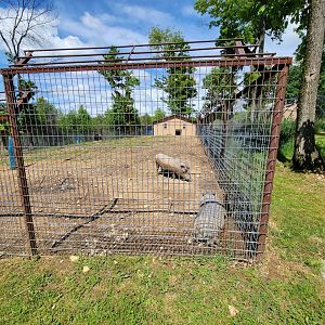 Hovatter's - Warthogs