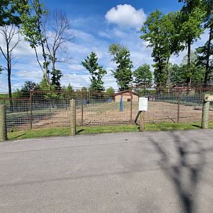 Hovatter's - Warthogs