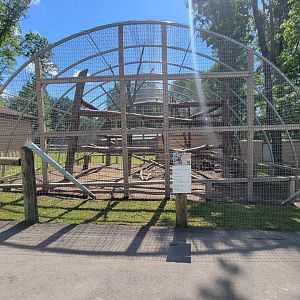 Hovatter's - Olive baboons