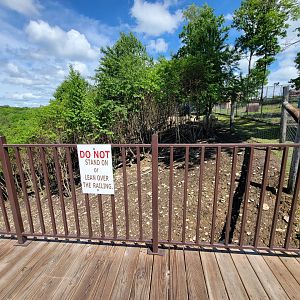 Hovatter's - Elk, white bison